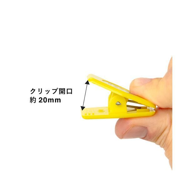 1パック 50個