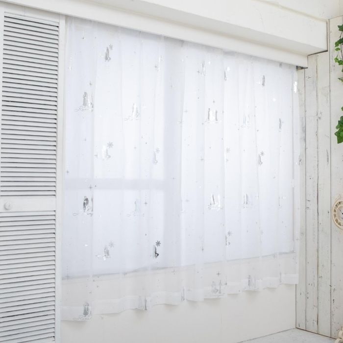 高品質 オポッサムの頭骨 ☆ Lサイズ