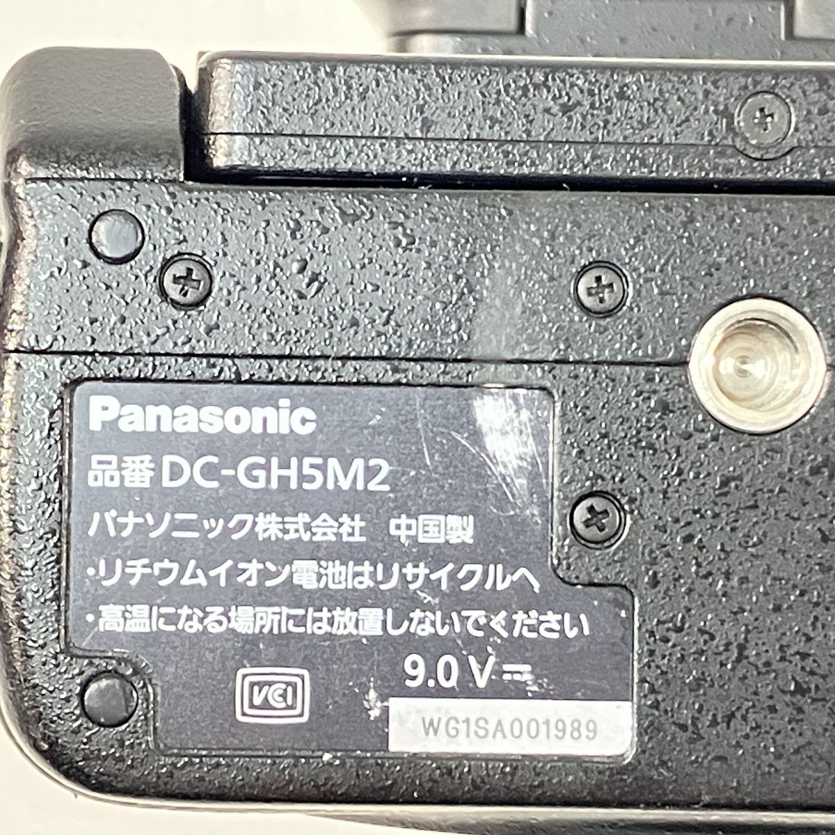 LUMIX GH5II