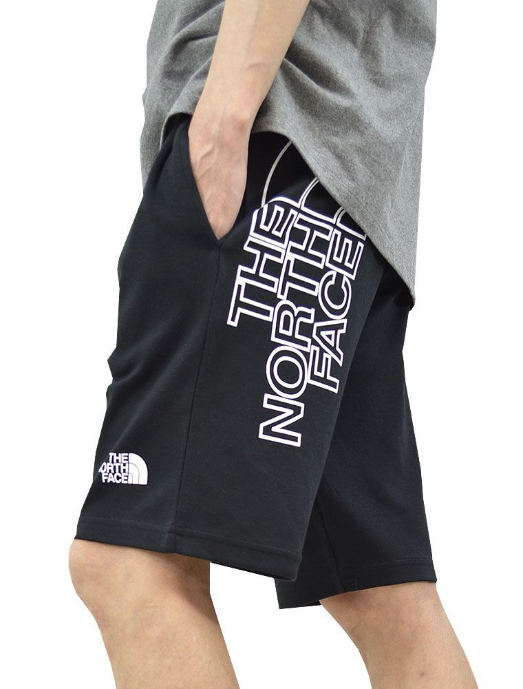 海外限定 希少 THE NORTH FACE ノースフェイス GRAPHIC SHORT ショート