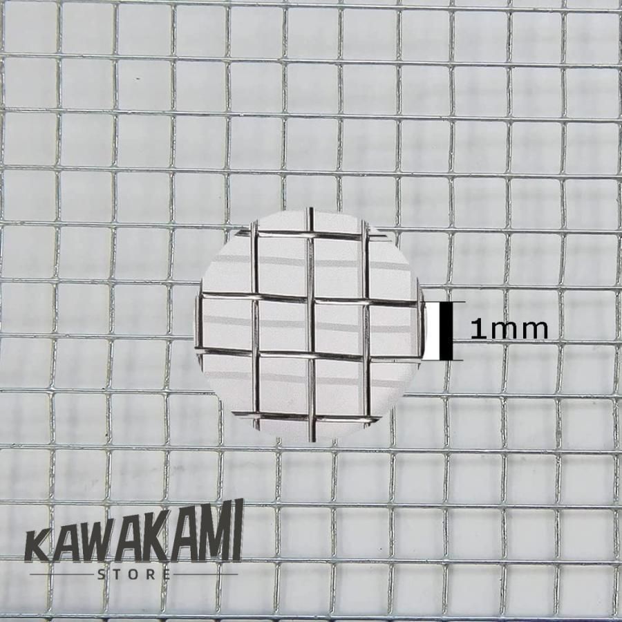 1x10m