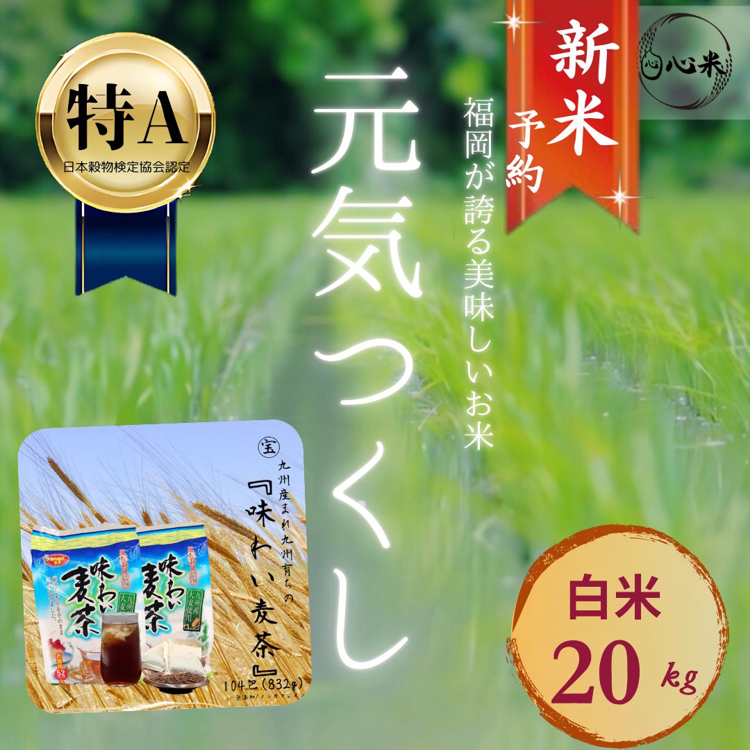 元気つくし 20kg 白米 7年産 お米 味わい麦茶セット お得なセット 予約