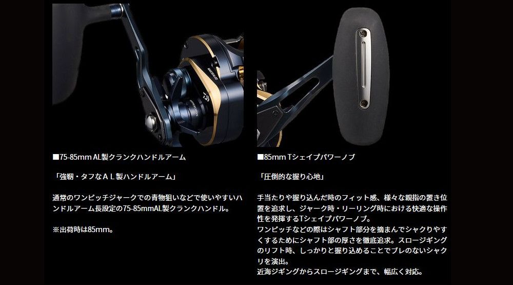  ダイワ 25ソルティガ 300 釣り具 ベイトリール ベイトリール(ルアー用) リール