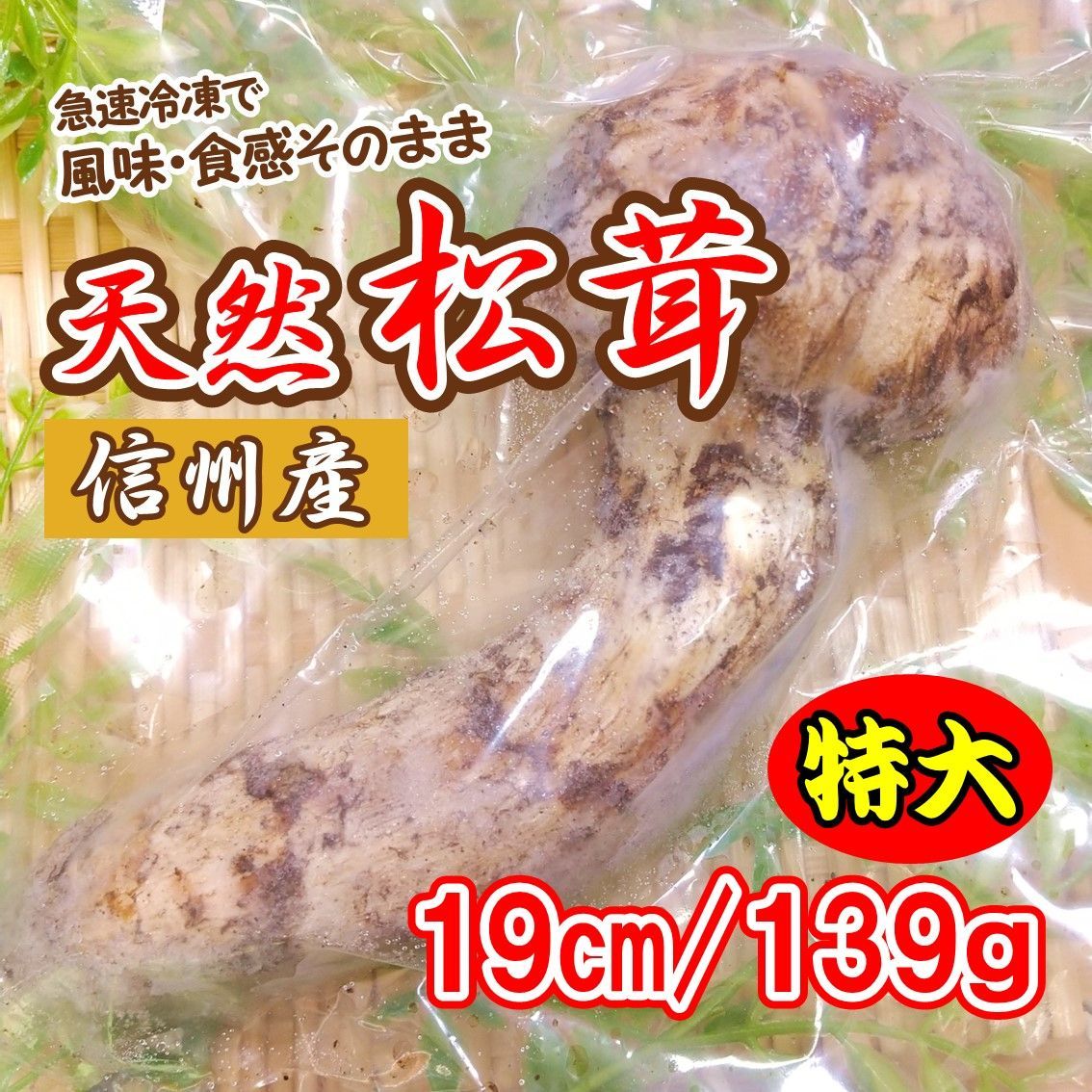 信州産「天然松茸」（約220g 2～7本）