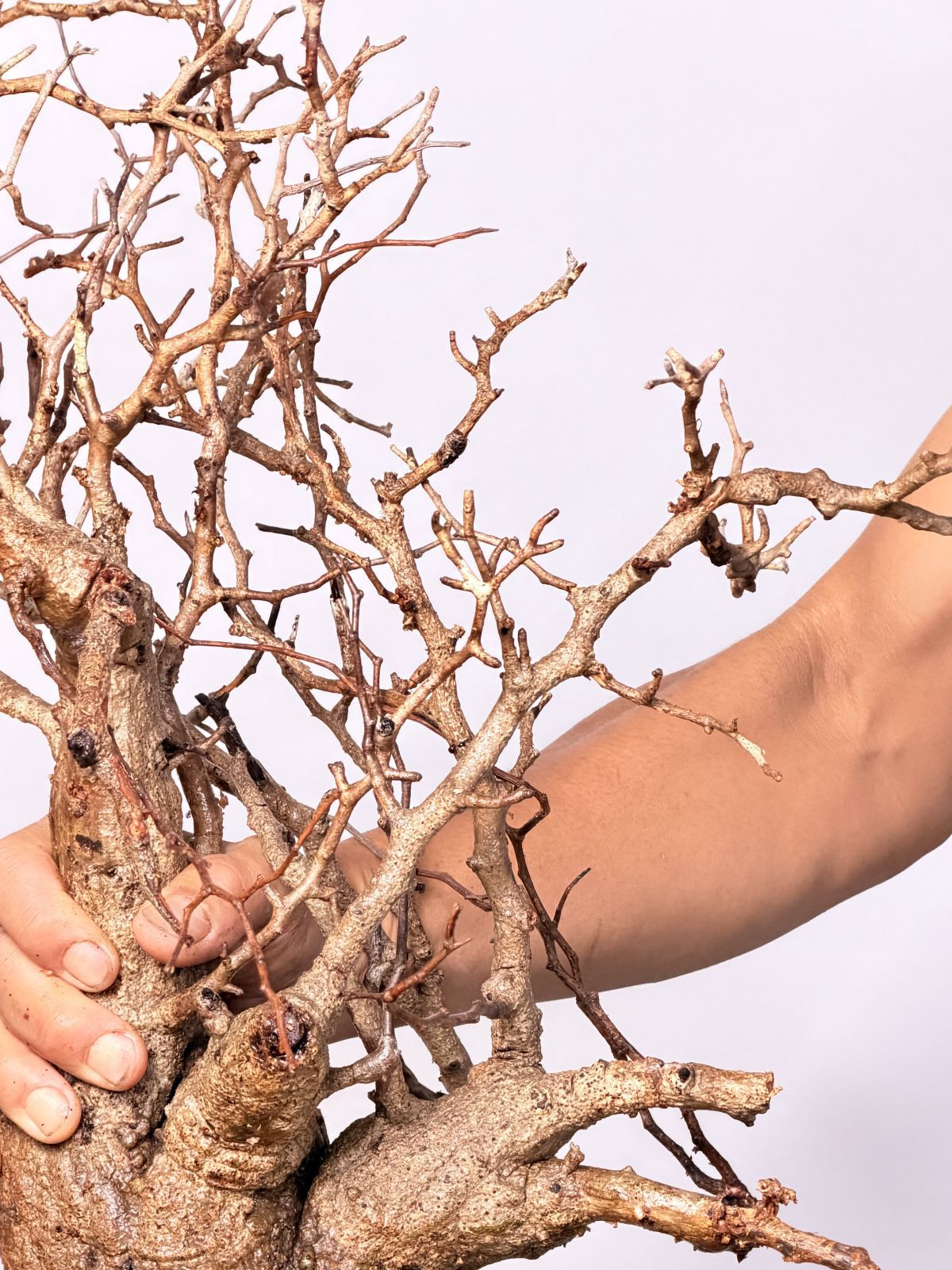 マダガスカル選抜