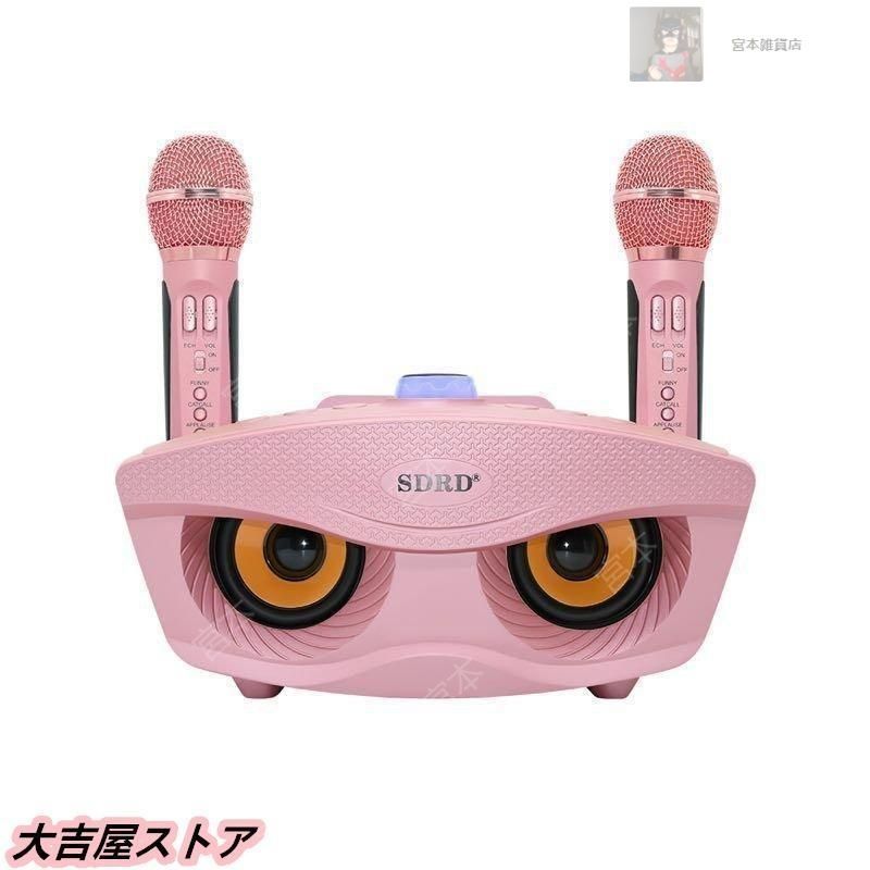 手持ちマイク カラオケセット 家庭用 Bluetooth カラオケマイク