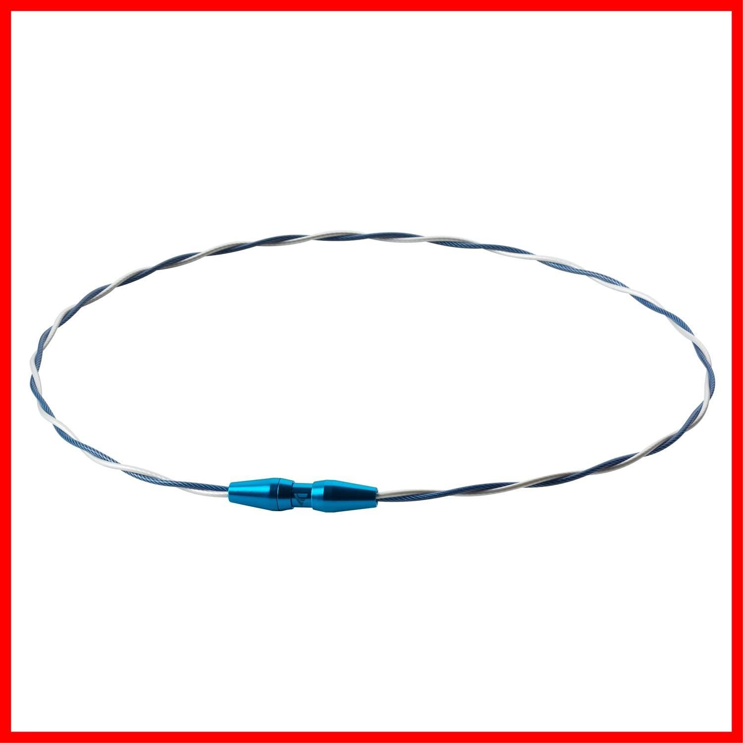 佐藤輝明選手愛用商品】phiten(ファイテン) ネックレス RAKUWA