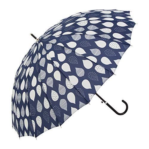 斑入り サンスベリア モンキーバナナ錦 子株付き 2025年最新