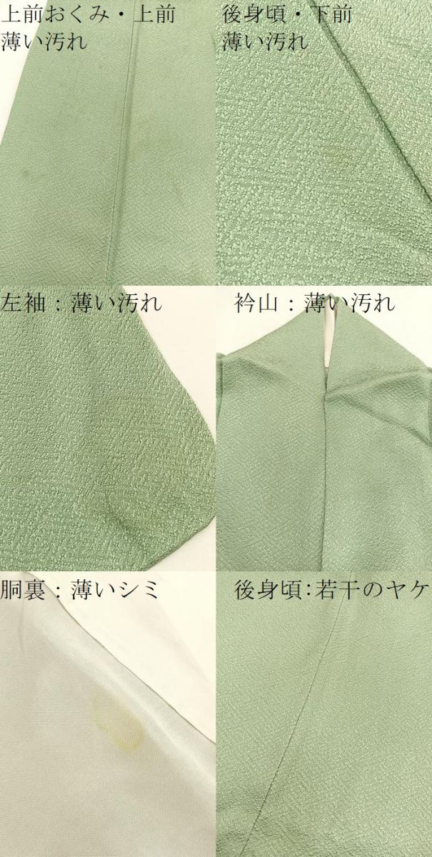 平和屋着物□京加賀友禅 百貫達雄監修 色無地 裏葉柳色