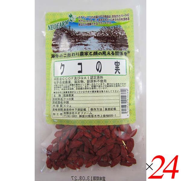 TOYOMI HOSHINA 1980-1981 保科豊巳 美術展覧会図録 購入 希少】TOYOMI