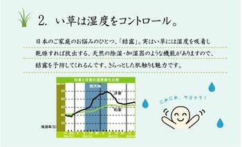 い草カーペット 雲仙