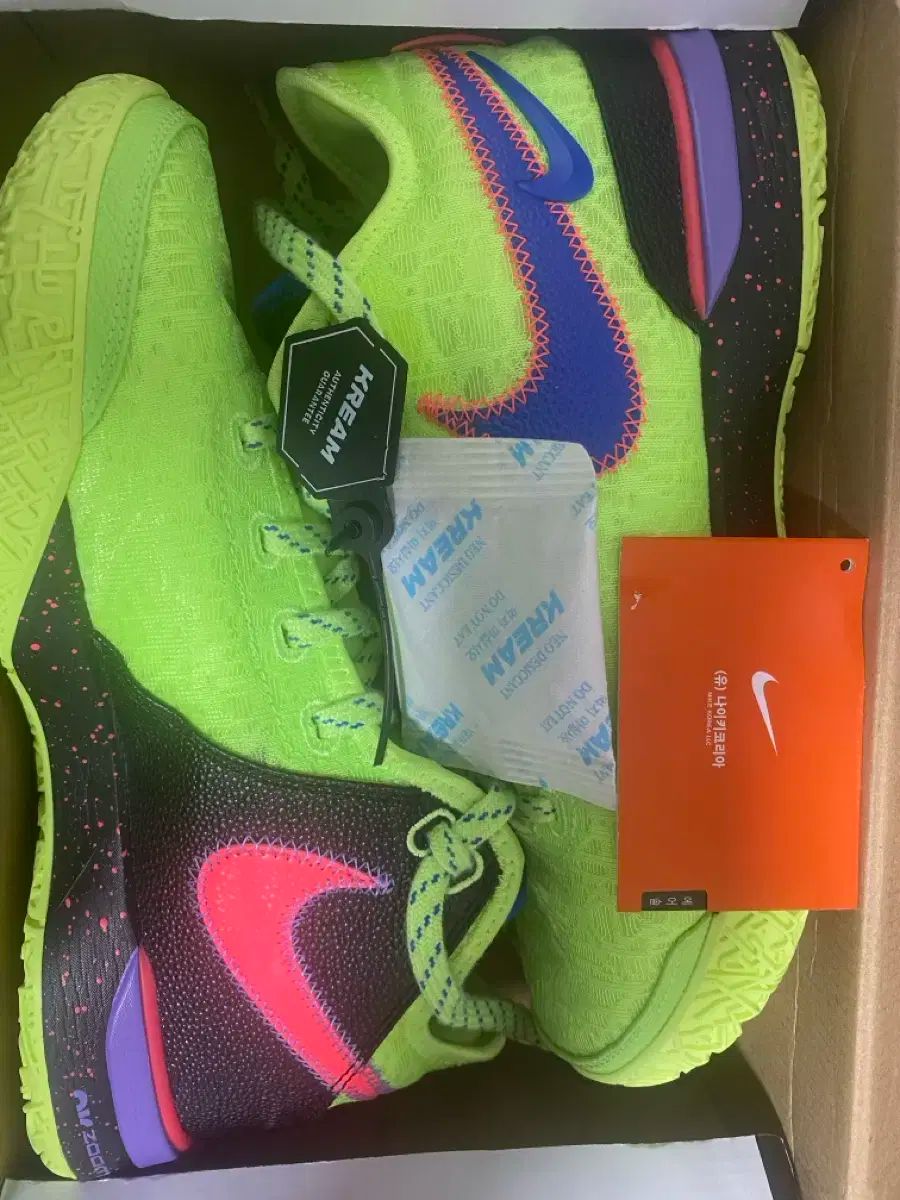 NIKE バスケットシューズ レブロン NEXT NXXT 260