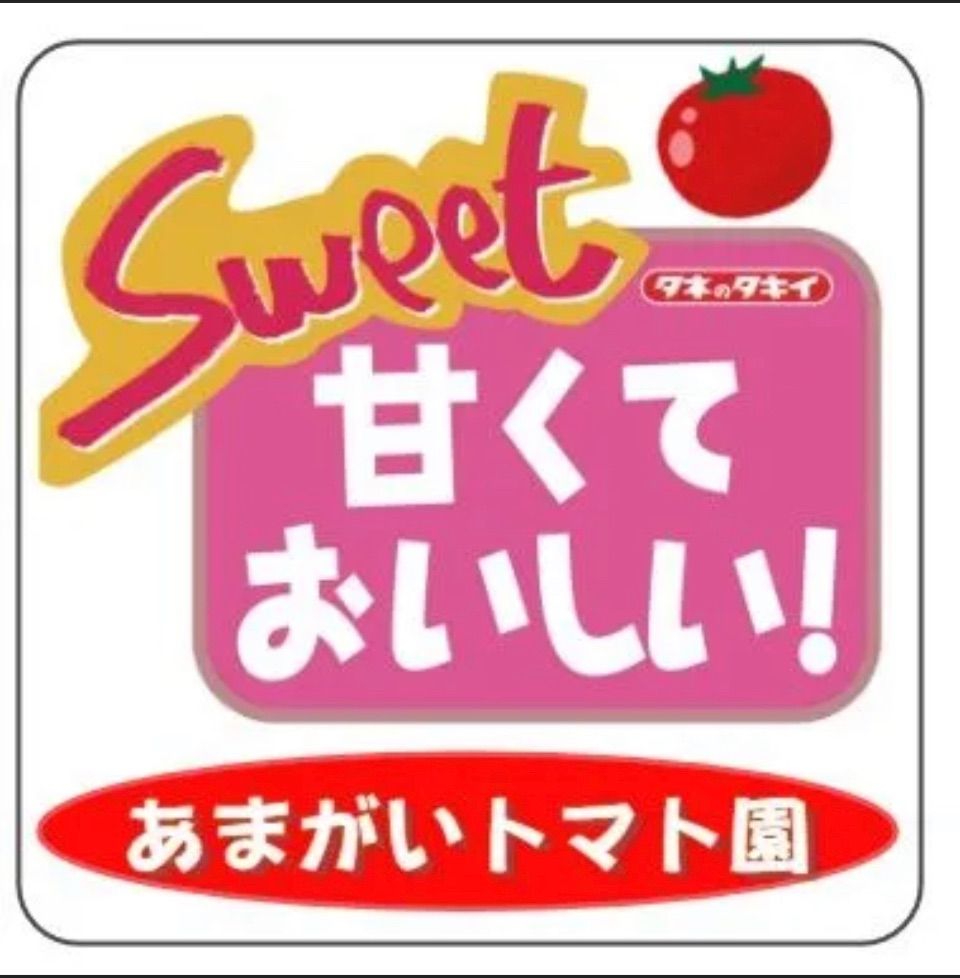 フラガール🍅ミニトマト！濃蜜クリスピー！たっぷり1.2キロ！農家👩‍🌾直送🚚！フルーツトマト！コンパクト！