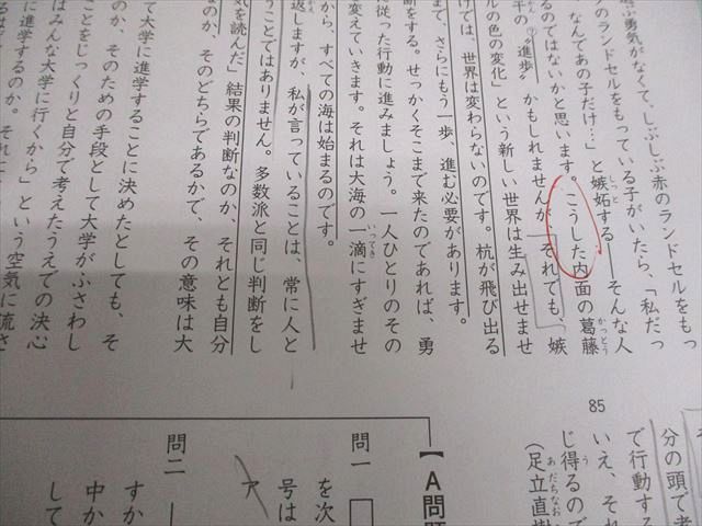 SAPIX サピックス 小6 国語 SS特訓 志望校別入試攻略プリント 01〜14 テスト計14回 通年セット 2024 024S2D SAPIX サピックス 小6 国語 SS特訓 志望校別入試攻略プリント 01