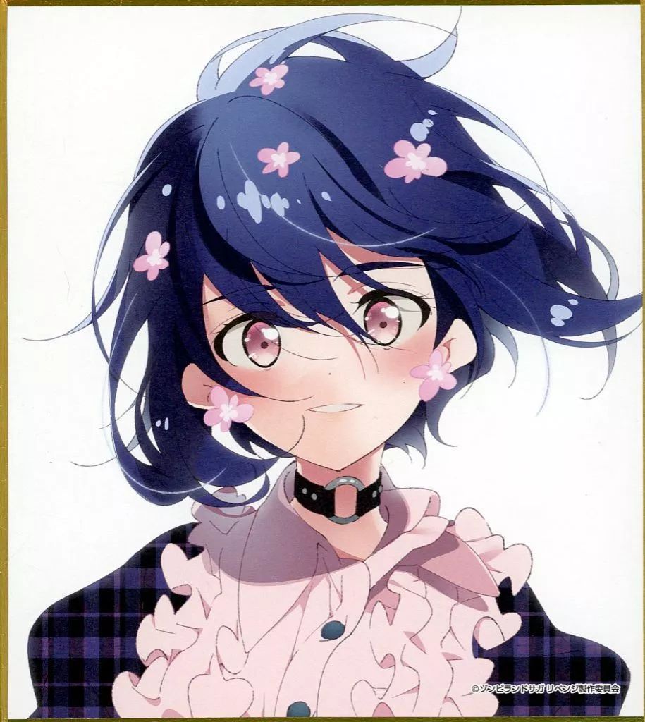 くじ引き堂 ゾンビランドサガ ミニ色紙 くじ引き堂 ゾンビランドサガ