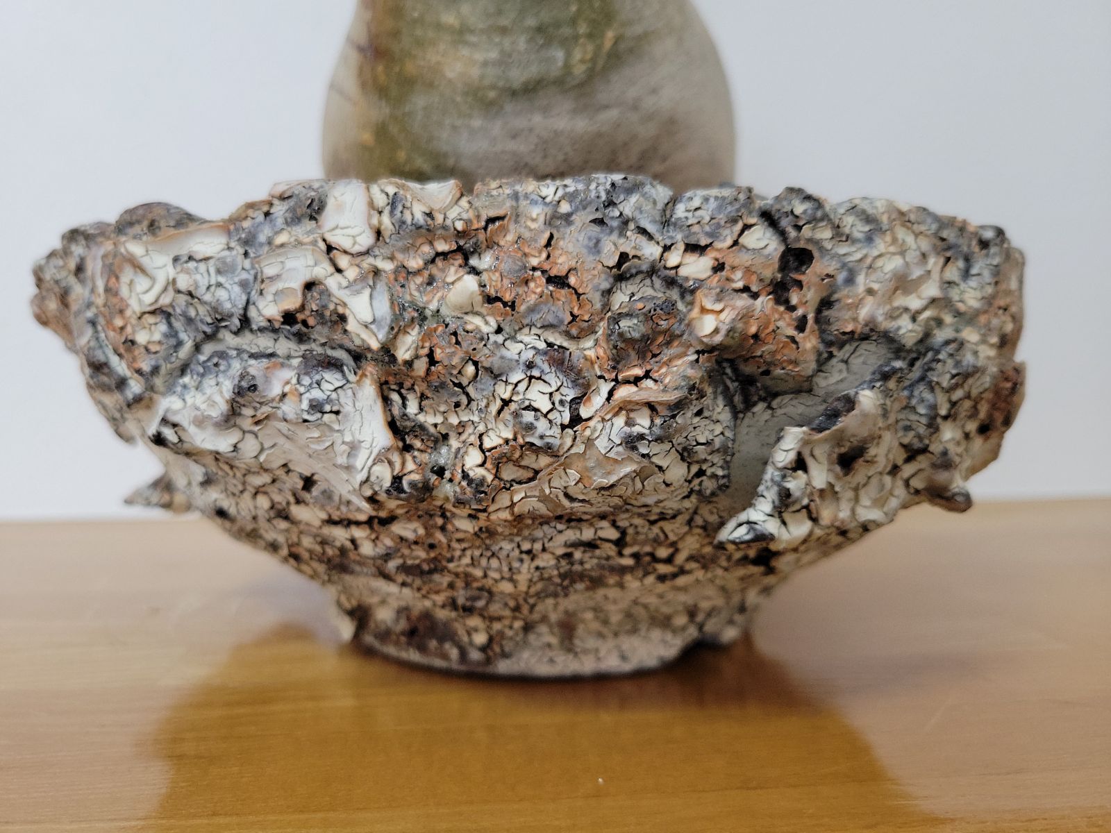 グラキリス 阪本健 パキポディウム 発根済み - メルカリ