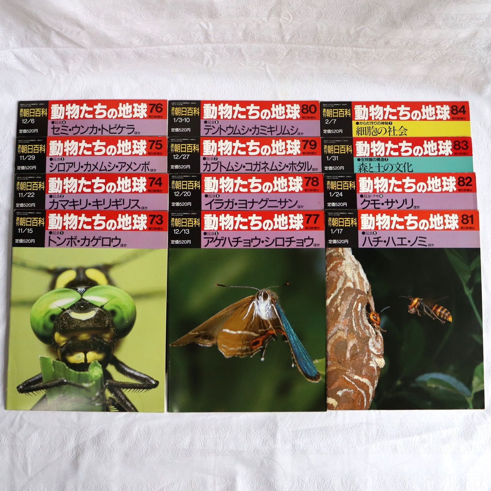 週刊朝日百科 動物たちの地球 第3巻 昆虫 73~84 12冊 - メルカリ