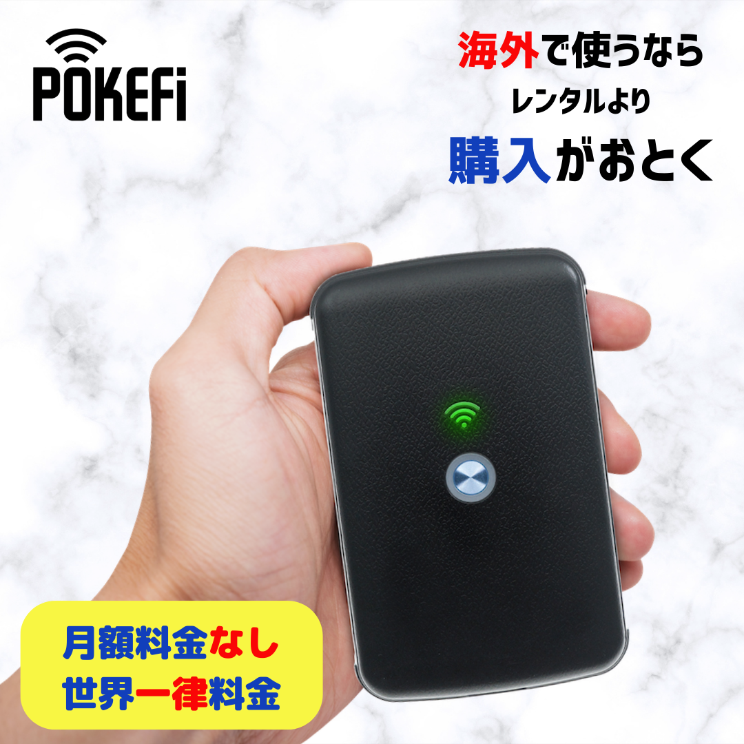 日本語保証付【正規販売店】Smart Go POKEFi