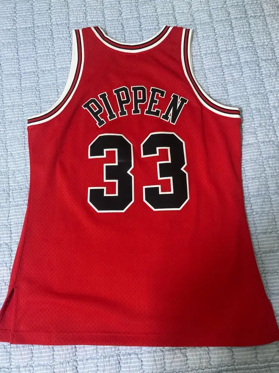 ピッペン Swingman