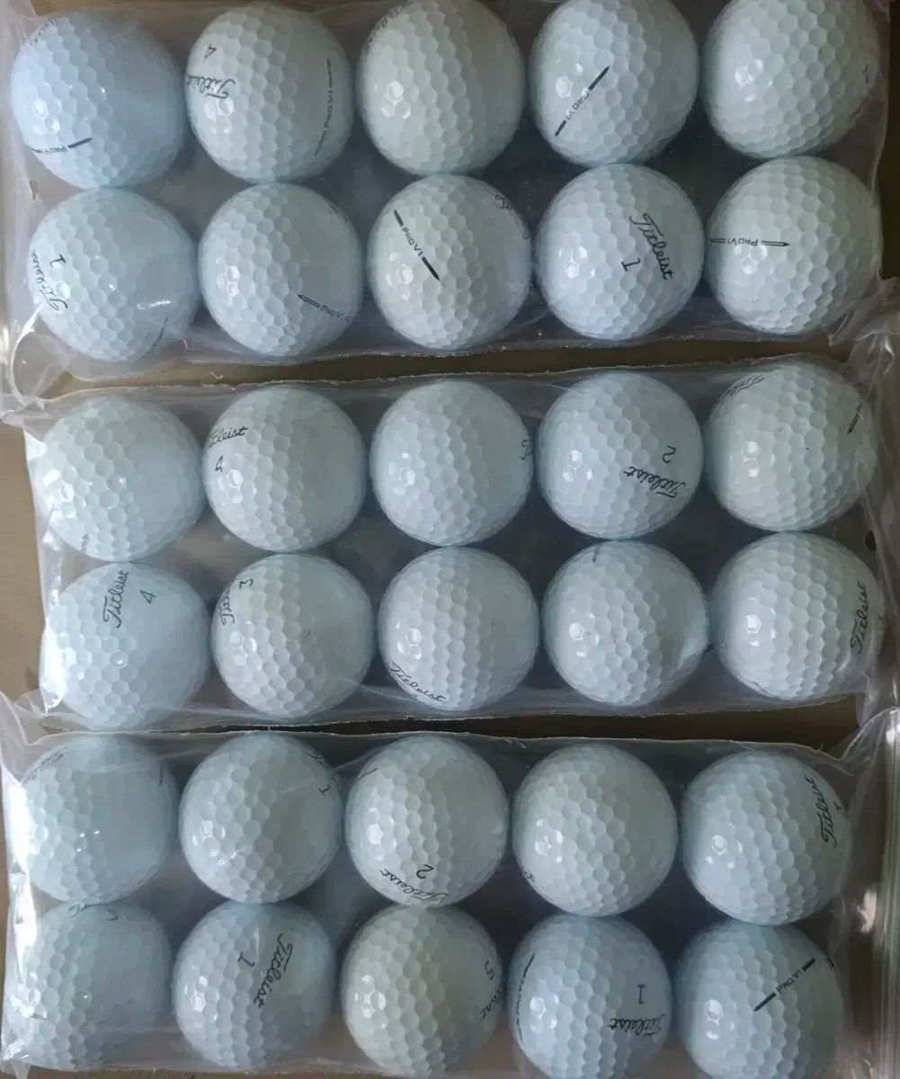 Titleist タイトリスト ProV1 prov1x ロストボール 30 犬 A +