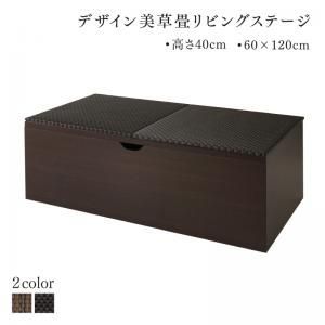 単品 国産 収納付きデザイン美草畳リビングステージ 風凛 フーリン 畳ボックス収納 120×60cm ハイタイプ 代引不可