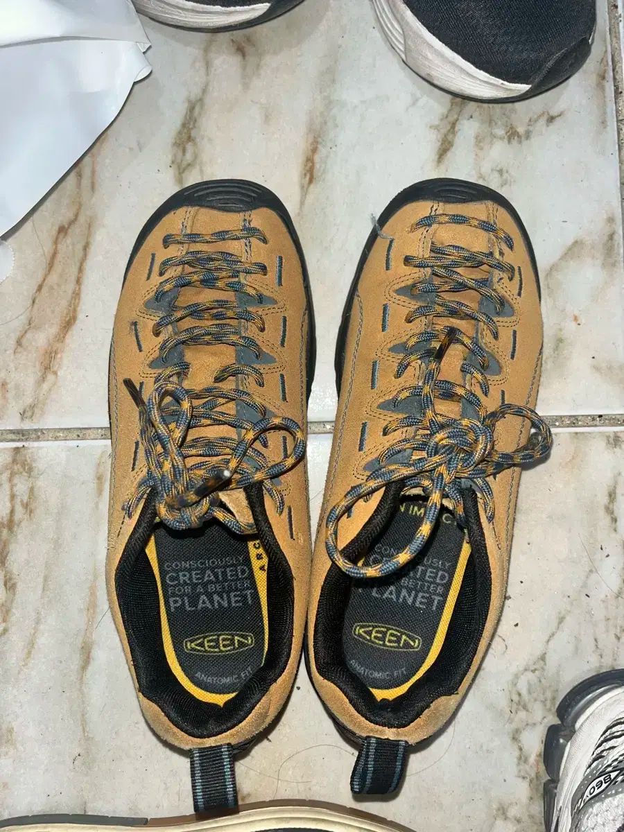 KEEN キーン ジャスパー 245