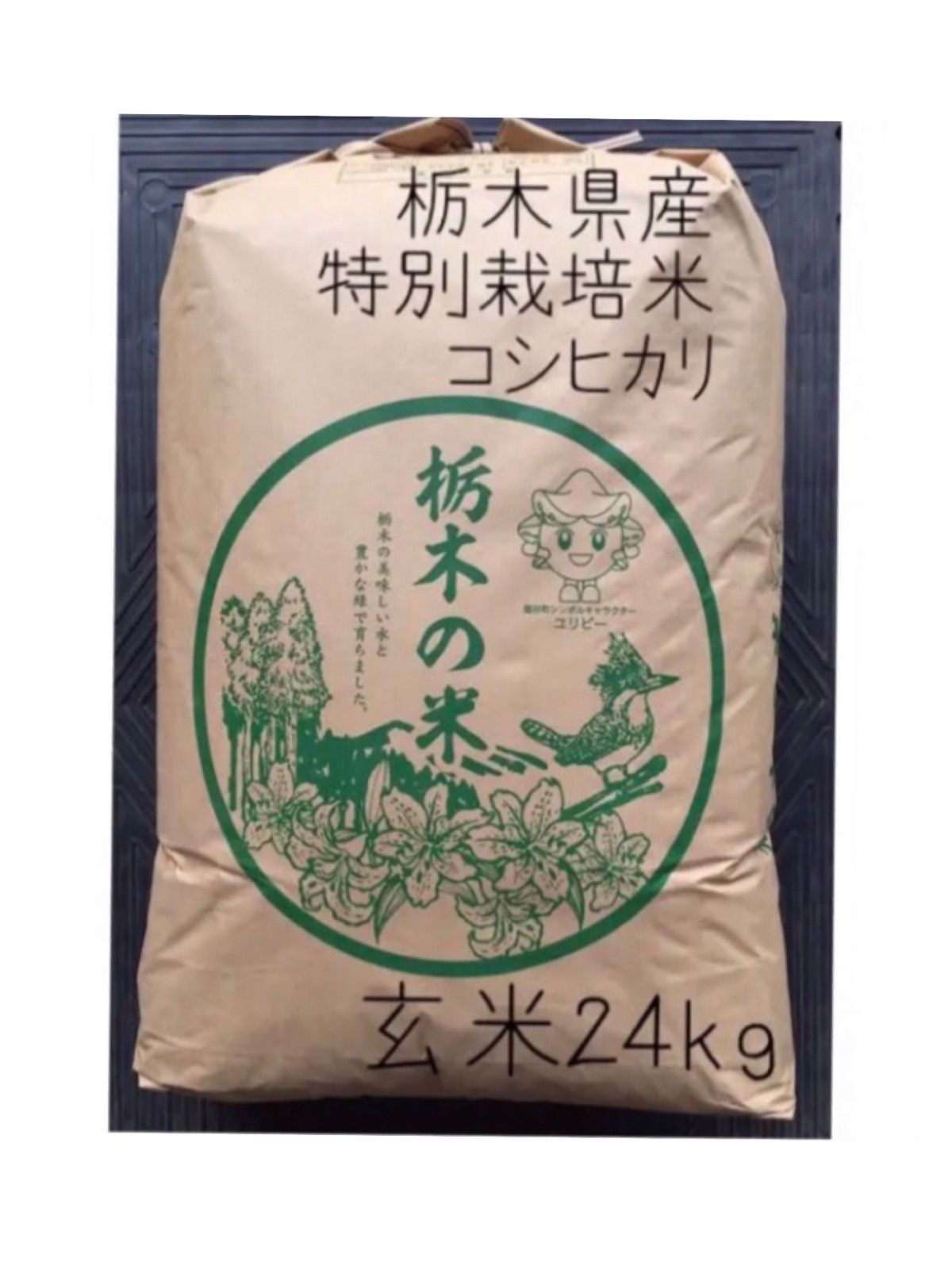 ★新米★特別栽培米コシヒカリ玄米２４ｋｇ
