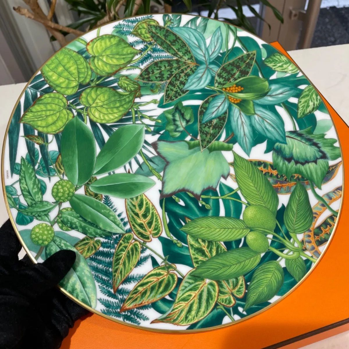 新品・未使用】Hermès お皿 葉のデザイン