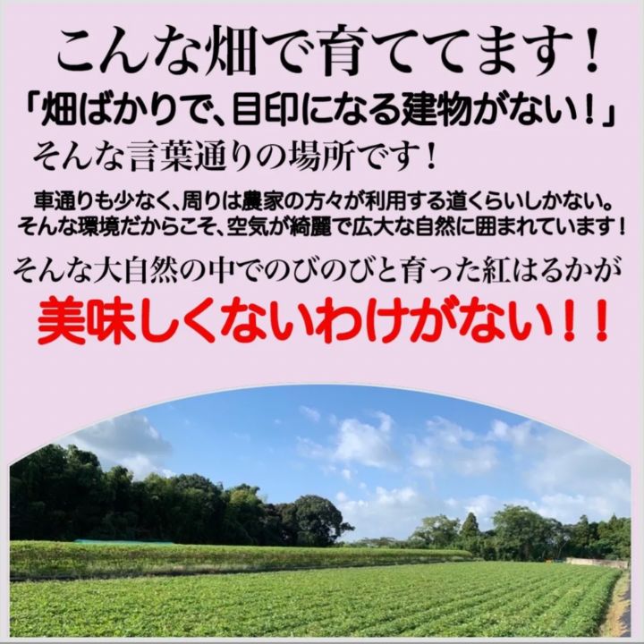 のサムネイル