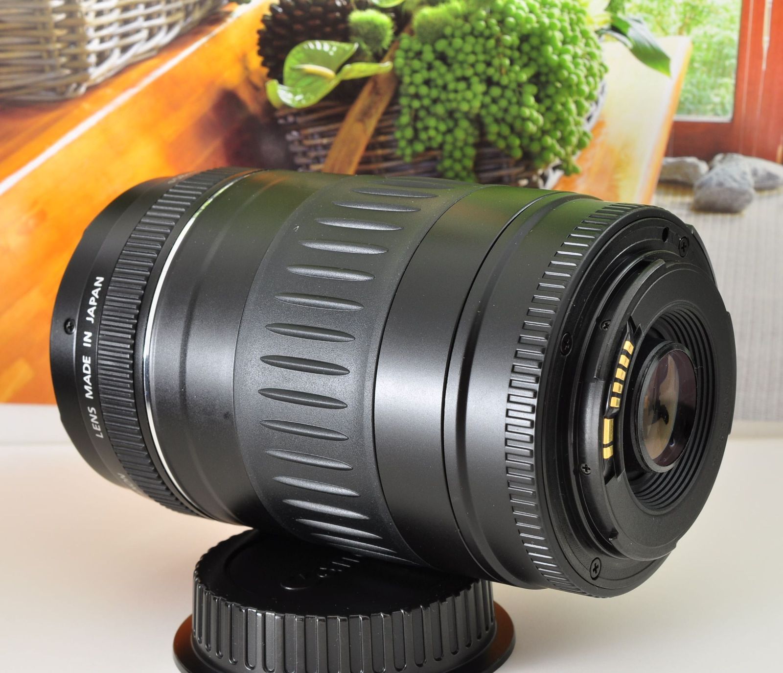 Canon EF 90-300mm F4.5-5.6 USM 望遠ズームレンズ EOS一眼レフ対応