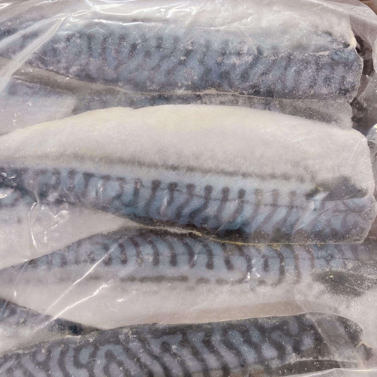 【新発売】塩サバフィレ2kg  冷凍 魚