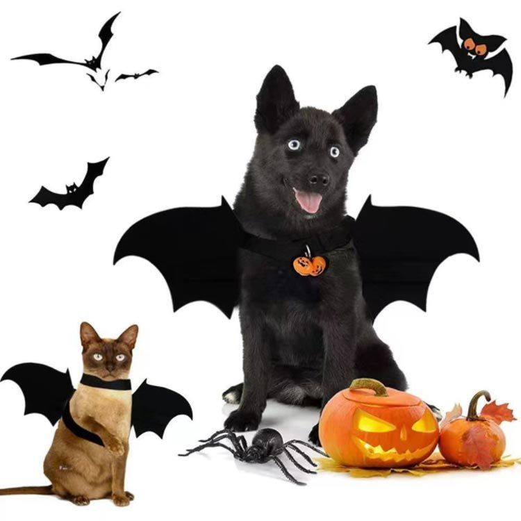 コウモリの翼 ハロウィン コスプレ 猫用 犬用 仮装 ペット服