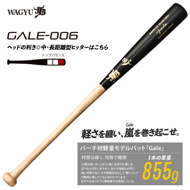 和牛JB バーチ材硬式木製バット Gale ゲイル 野球 軽量 中学硬式 高校 大学社会人 22FW GALE006