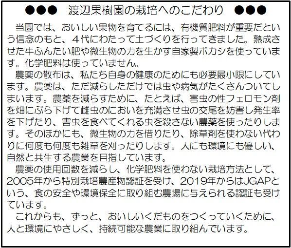 サンふじりんご箱込み2kg【特別栽培】