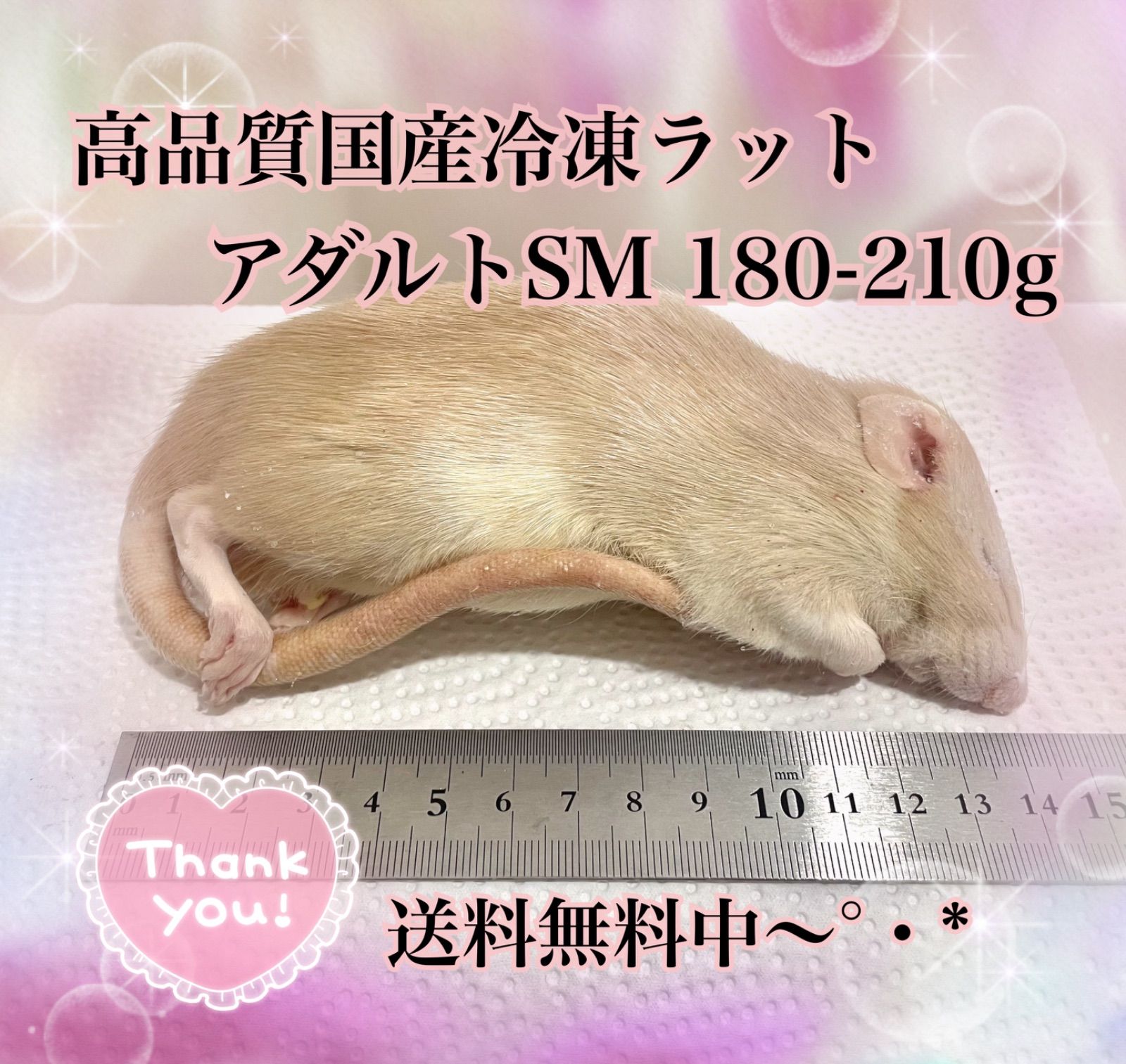 高品質国産冷凍マウス→ラット♡アダルトSM♡3匹 - メルカリ