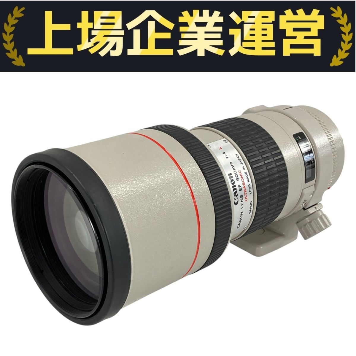 Canon LENS EF 300mm 1:4 L ULTRASONIC キャノン カメラ レンズ