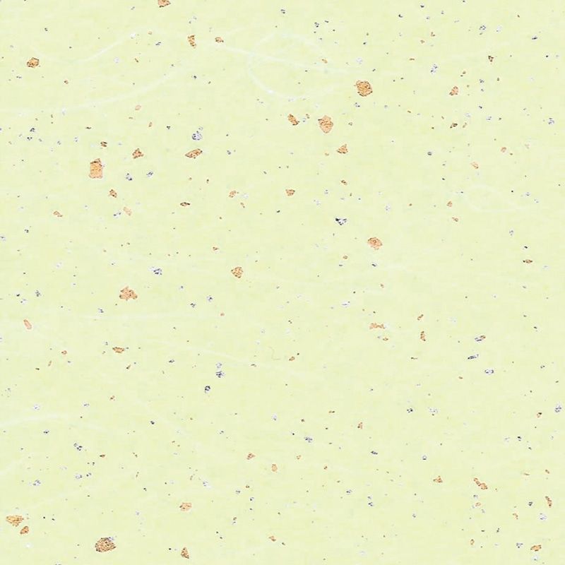 まとめ買い シモジマ HEIKO 包装紙 和紙 雲龍紙金銀振 草 50枚 545×788mm ラッピング用品 002107603 ×3セット