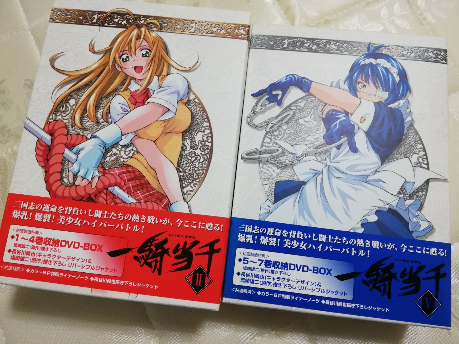 ほぼ新品】DVD アニメ 一騎当千 DVDBOXセット 全7巻 未開封あり