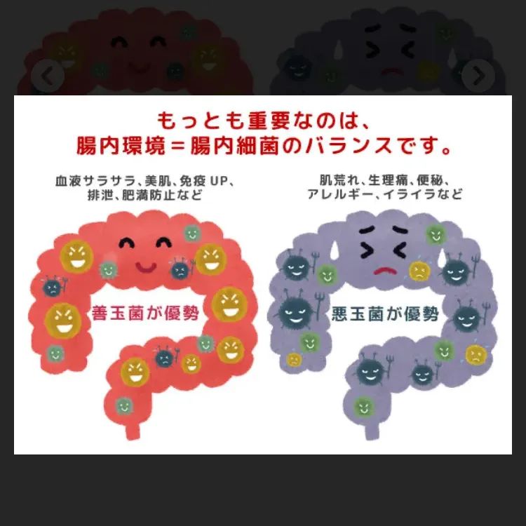 腸内環境を整えるヒーリング 鑑定書郵送 - メルカリ