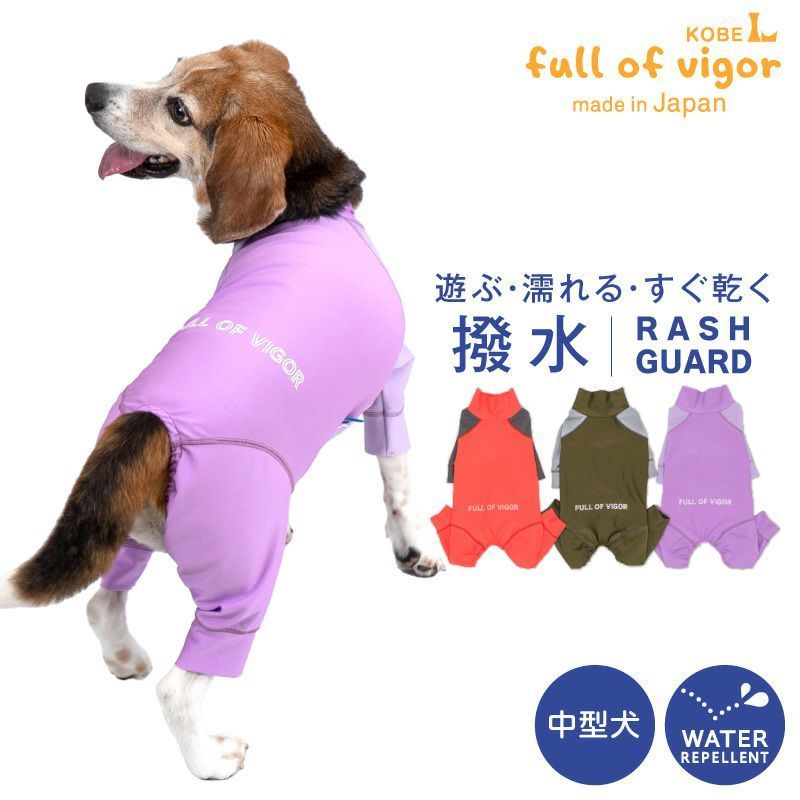 1点物『財宝をもたらす不思議な印章とペンタグラムの量子オルゴンBOX』