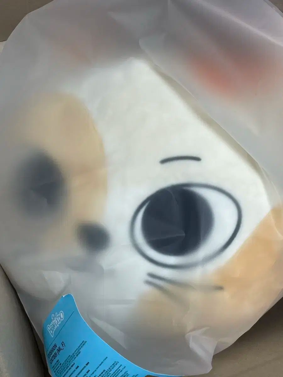 BOYNEXTDOOR(ボイネク) ソンホ(SUNGHO) 猫用枕 プネクド ポップアップ