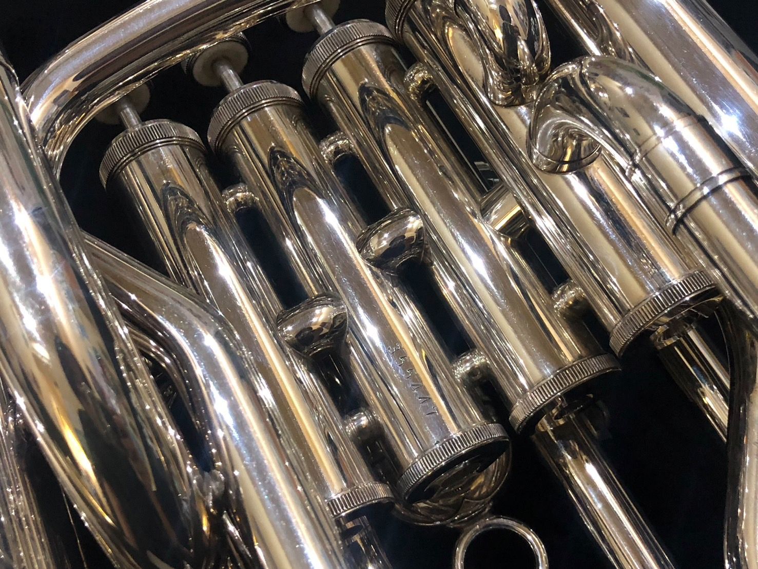 S ユーフォニアム