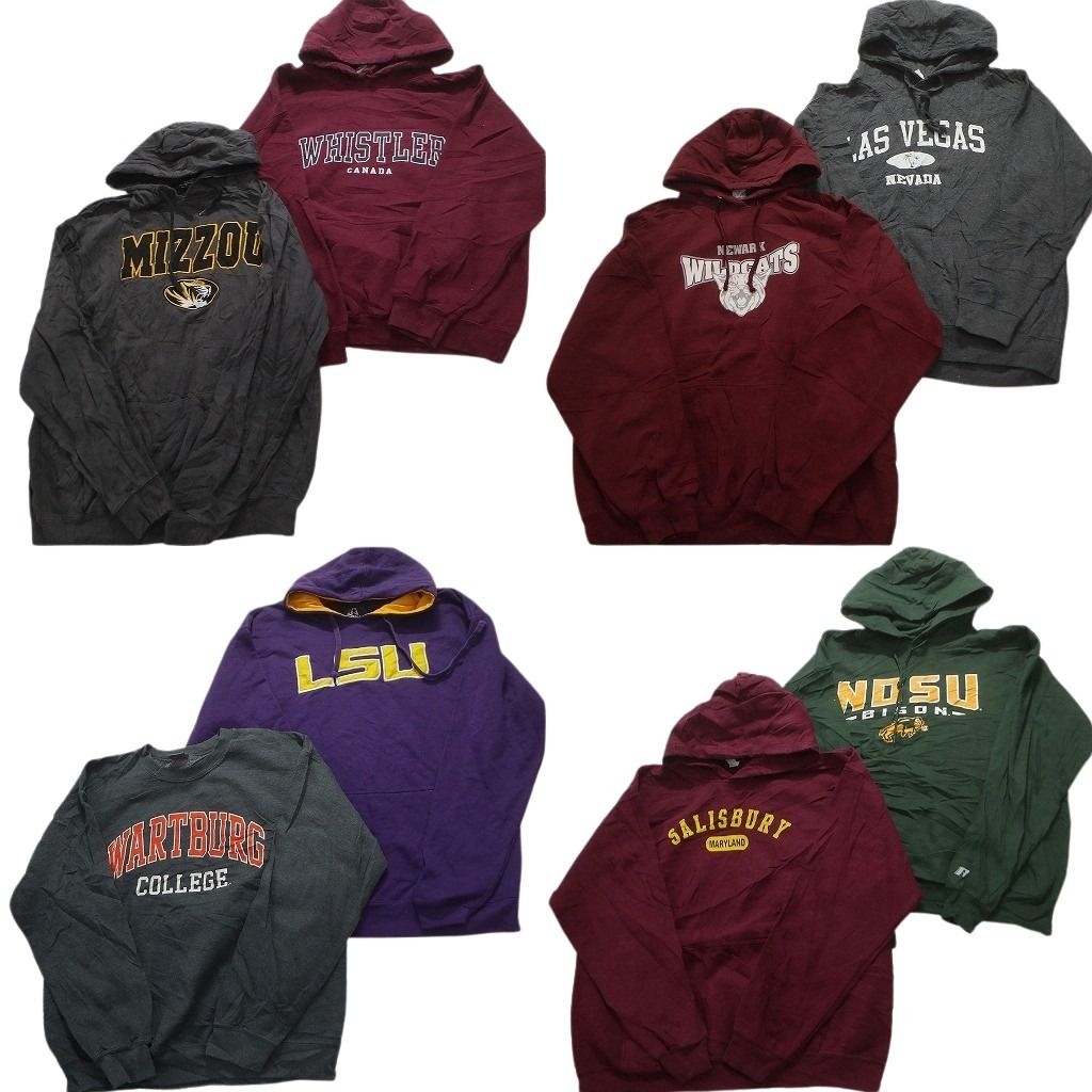 古着卸 まとめ売り カレッジ風 スウェット 8枚セット (メンズ L /XL ) LSU ラッセル チームロゴ パーカー フーディー 中古 古着 MY2752