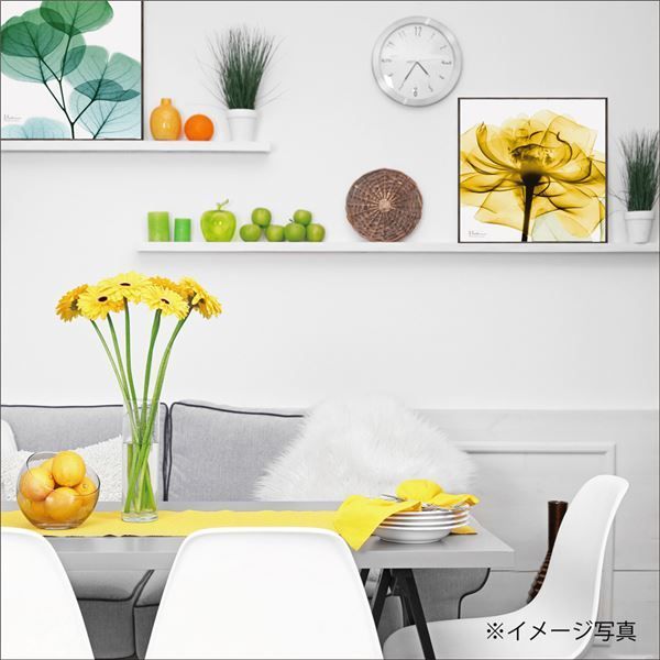  ユーパワー X-RAYキャンバスアート 「ゴールデンローズ」(スクエアSサイズ)