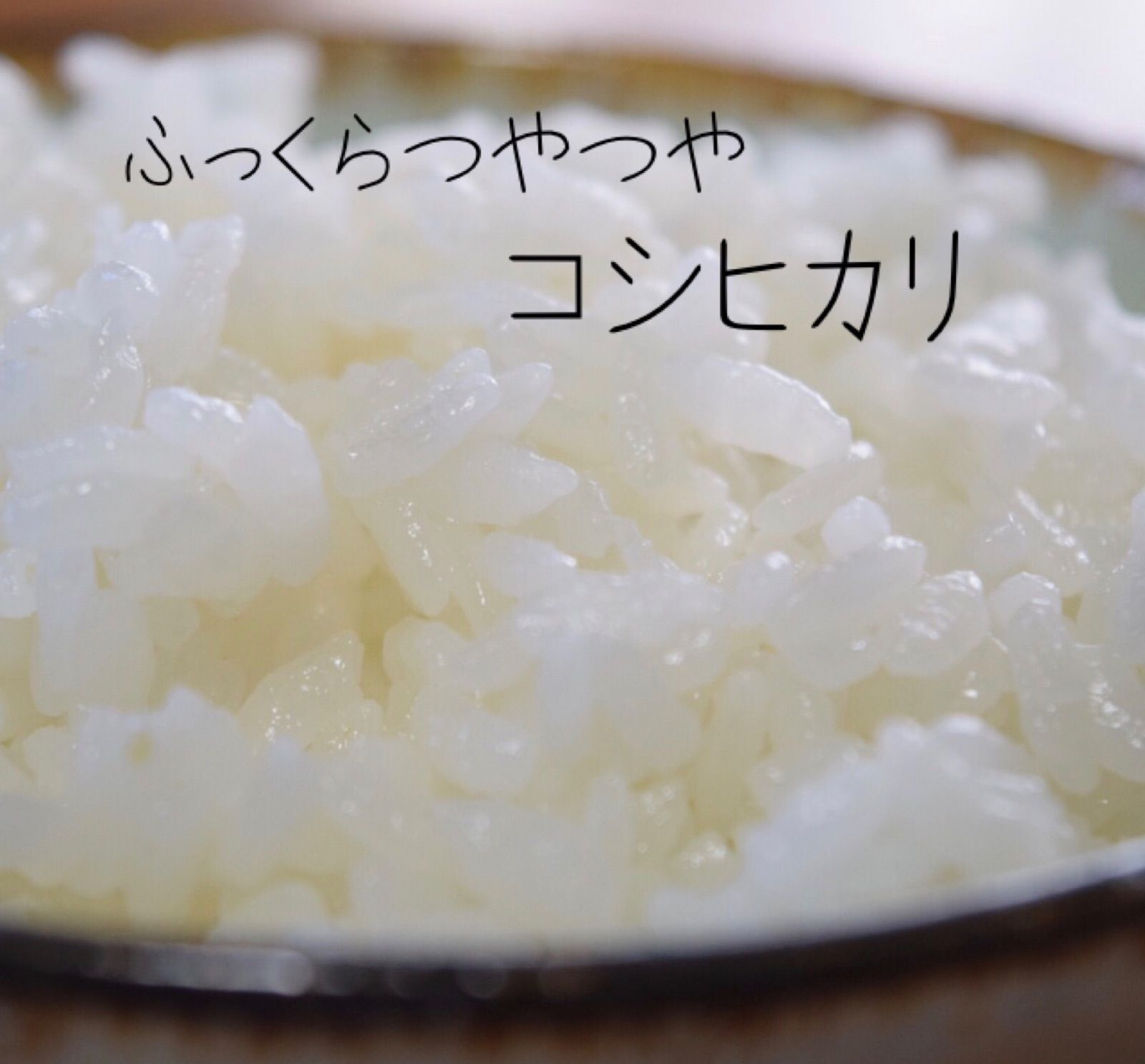 白米さん専用 栃木県産コシヒカリ【特別栽培米】白米27kg - メルカリ