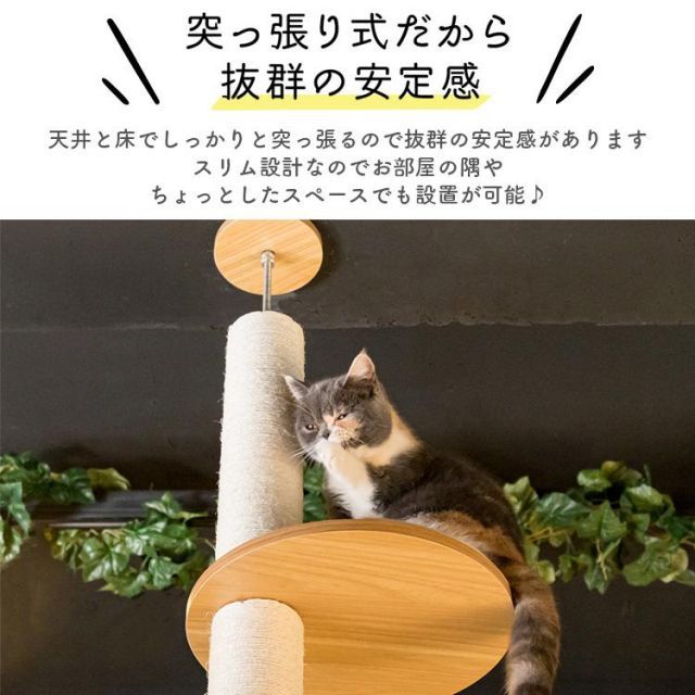 猫タワー