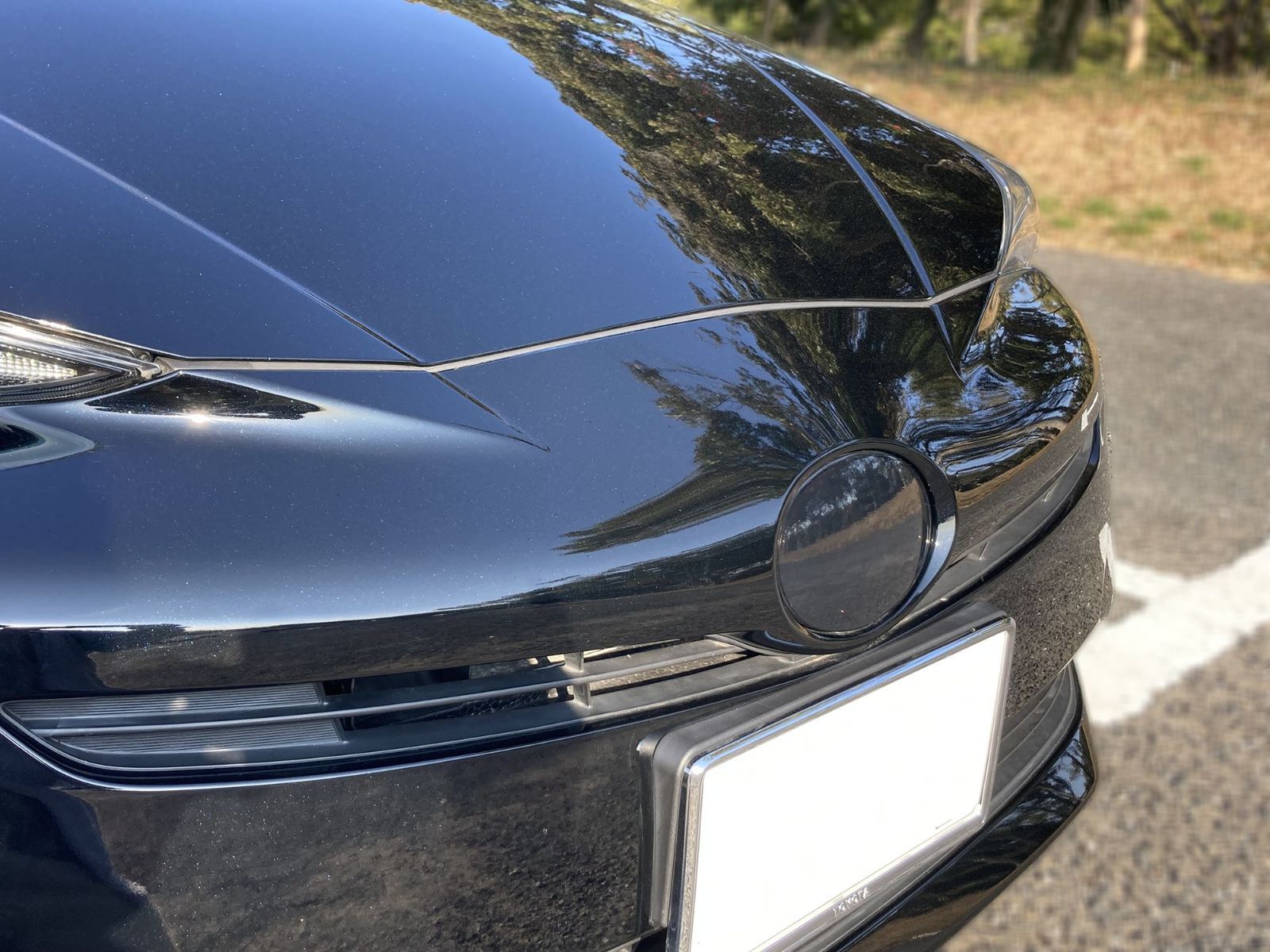 Tint+カット済エンブレム スモークフィルム 50 前期 プリウス (ブラックスモーク5％) ZVW50/ZVW51/ZVW55 zvw50