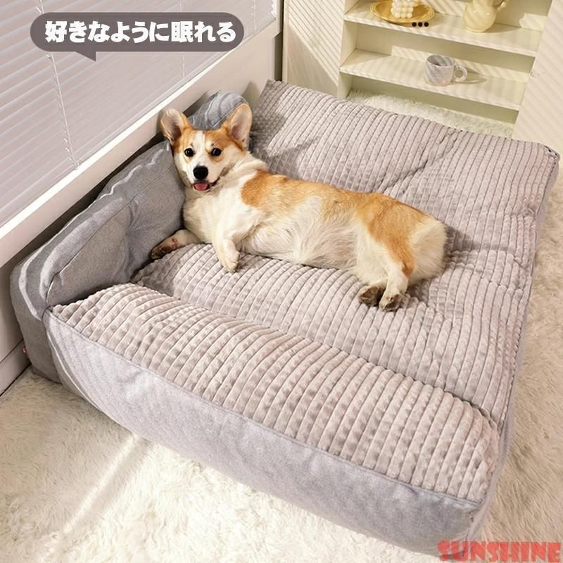ペット