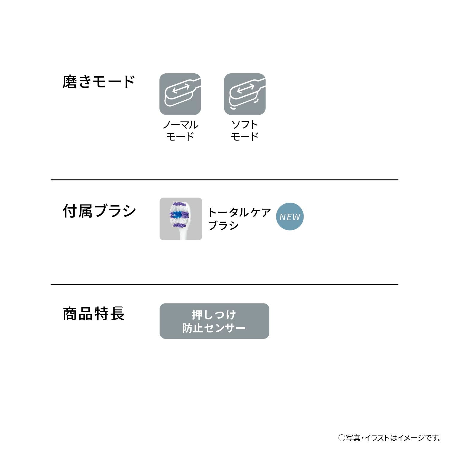 ドルツ