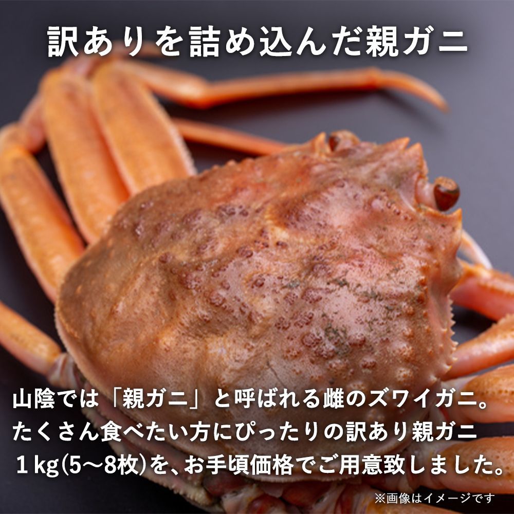 セコガニ 1kgセット福袋
